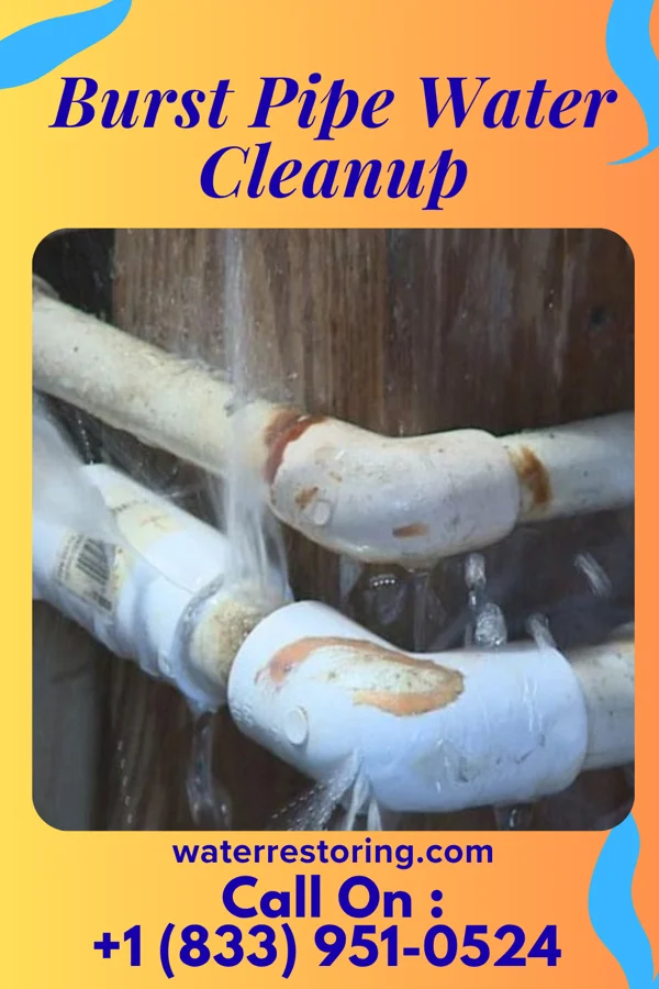 Burst Pipe Water Cleanup in Port St. John, FL