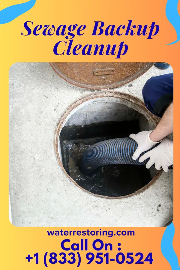 Sewage Backup Cleanup in Port St. John, FL